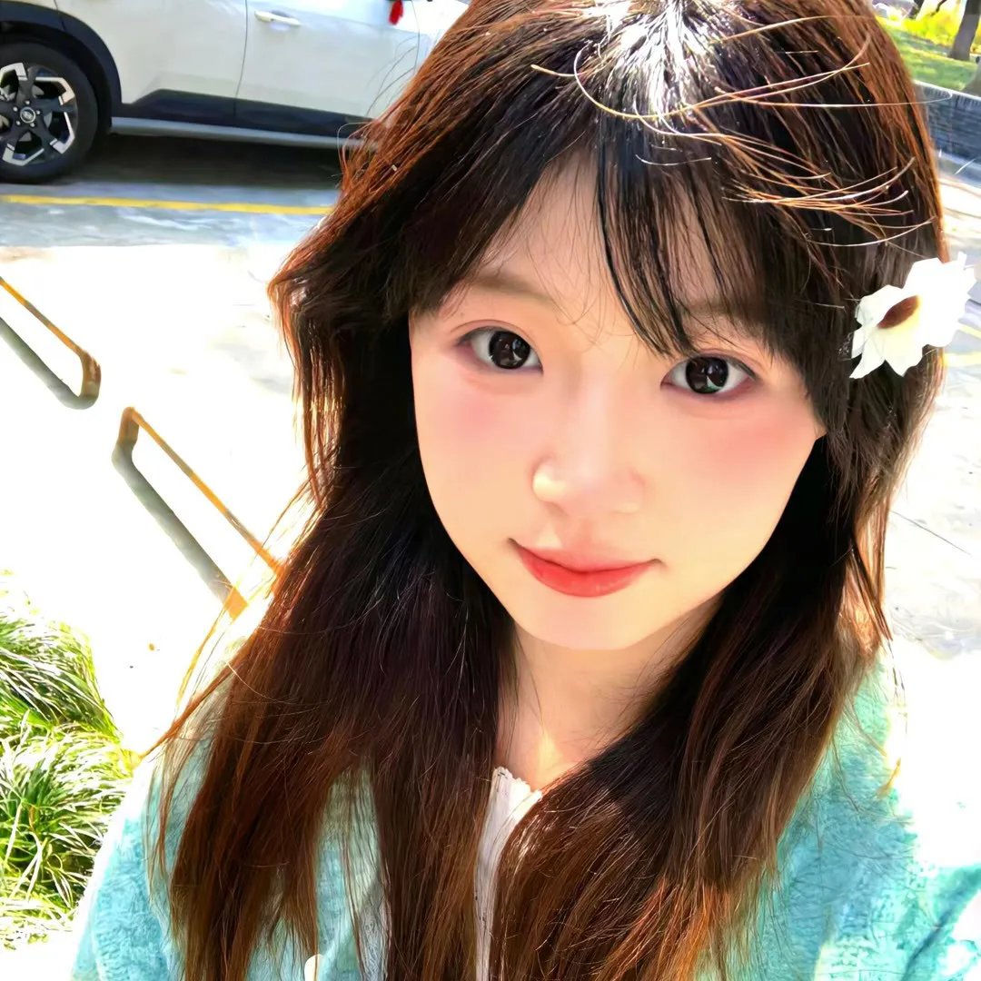 台风商社